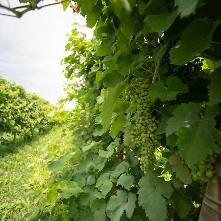 Regina Nel Cuore Del Veneto Codognè Εξωτερικό φωτογραφία